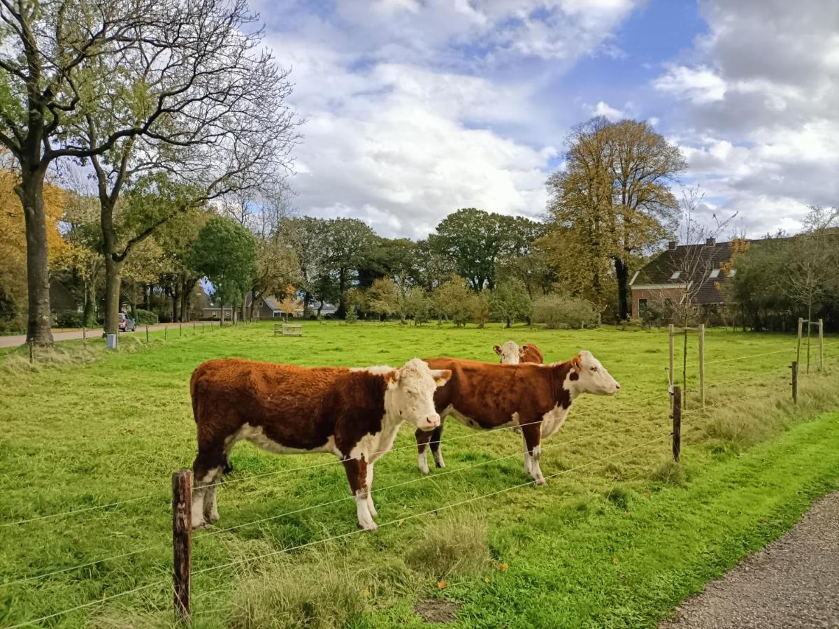 De Lindenhoeve Valthe 外观 照片